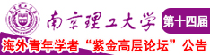 啊啊啊啊啊好大av南京理工大学第十四届海外青年学者紫金论坛诚邀海内外英才！